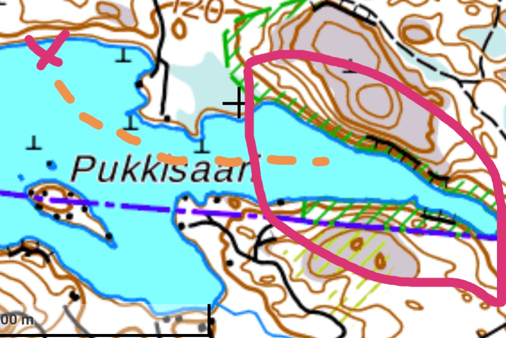 viitastenperä.jpg