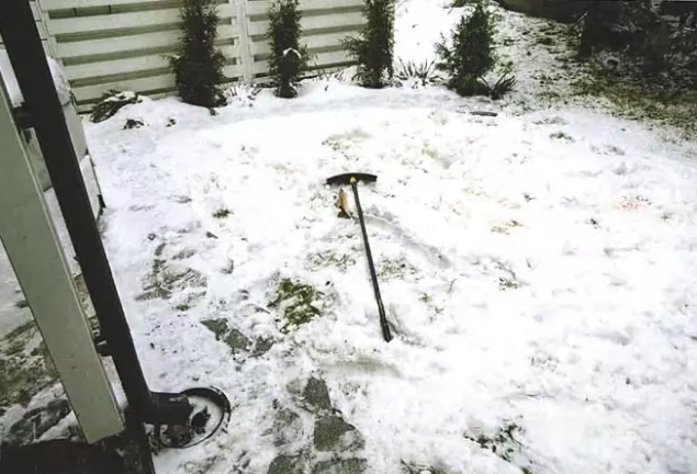 katsika vyyhti takapiha.jpg