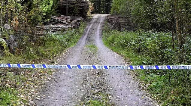 Ylistaro löytöpaikka.jpg