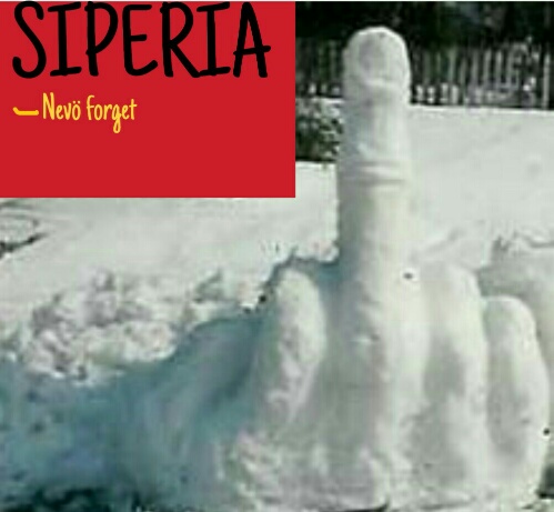 Mielipide ja tutkimuskohde nro yksi.jpg