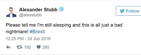 Brexit-stubido.JPG