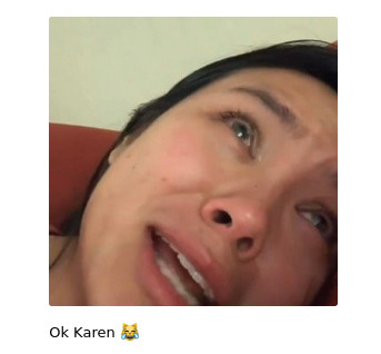 Ok Karen.jpeg