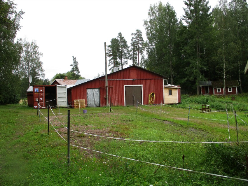 Talo ja pihapiiri viikko surmatyön jälkeen. Elämä on poissa. Kuvattu metsän puolelta. Kuva DL Media Inc.