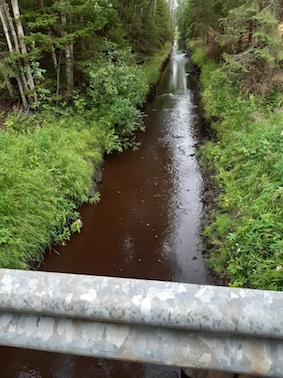 raisjoki.jpeg