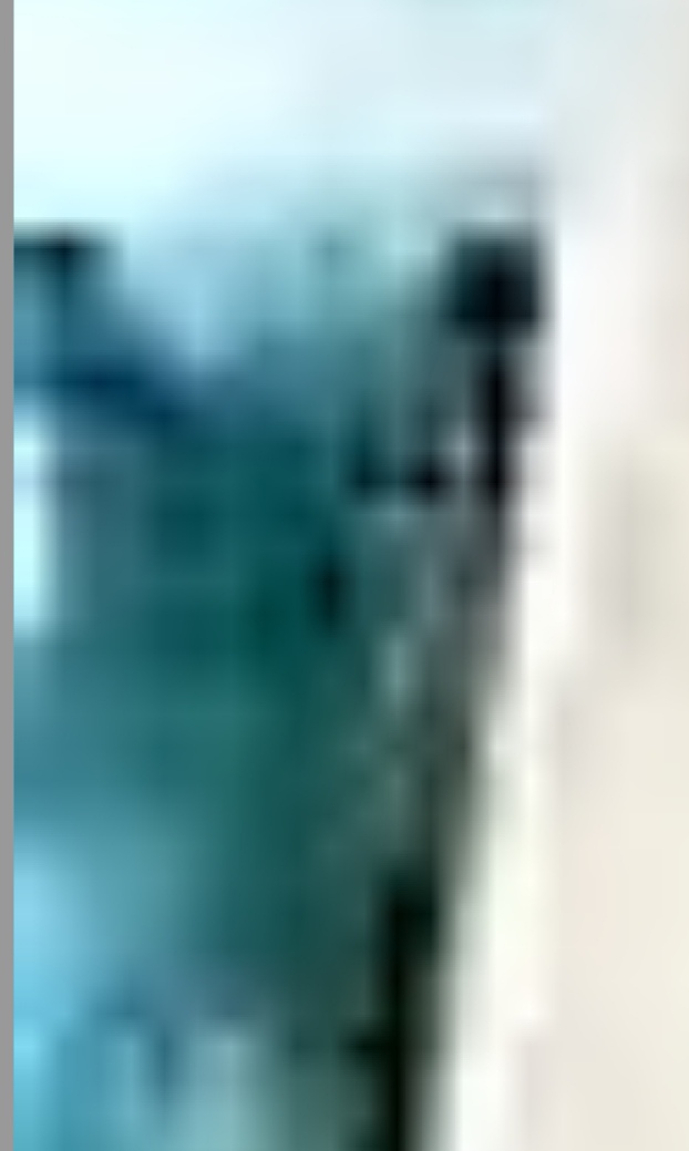 Screenshot_20200803_093342.jpg
