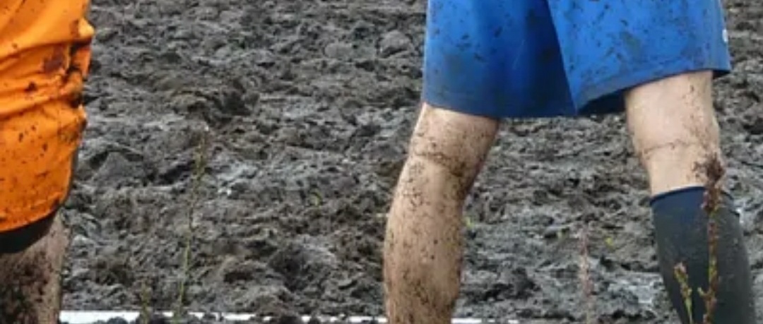 Screenshot_20200818-225005__01.jpg