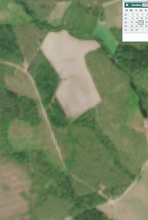 mutu.jpg