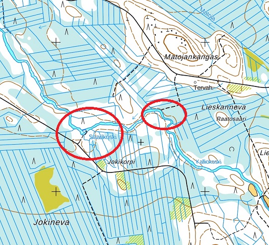 räy2.jpg
