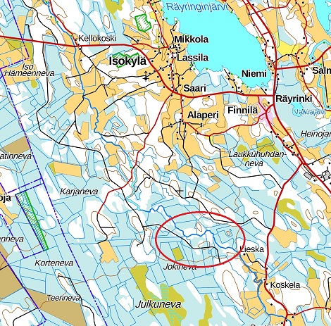 räy.jpg