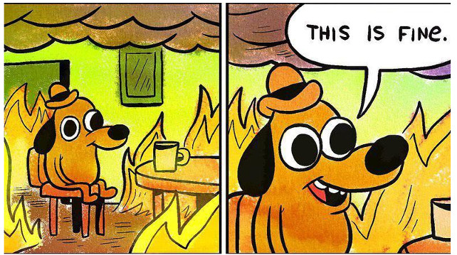 this is fine.jpeg