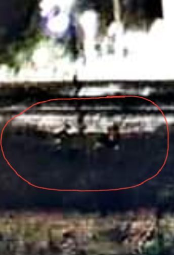 20200906_120820.png