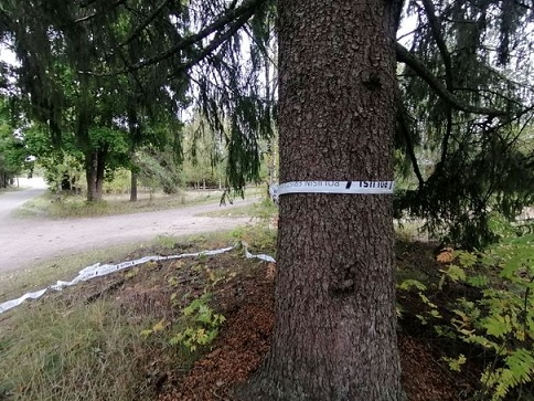 Poliisi eristi osia kiinteistöstä. Nauhat havaittiin alueella sunnuntaina, kolmantena päivänä aviomiehen kiinniotosta. LUKIJAN KUVA