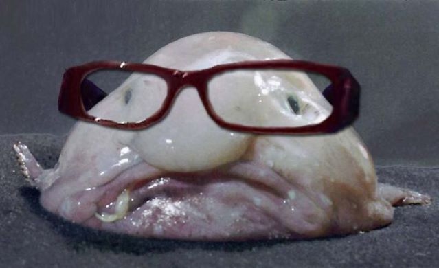 valesilakka.jpg