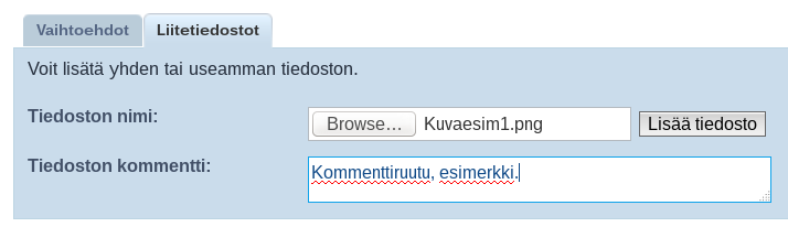 Kommenttiruutu, esimerkki.