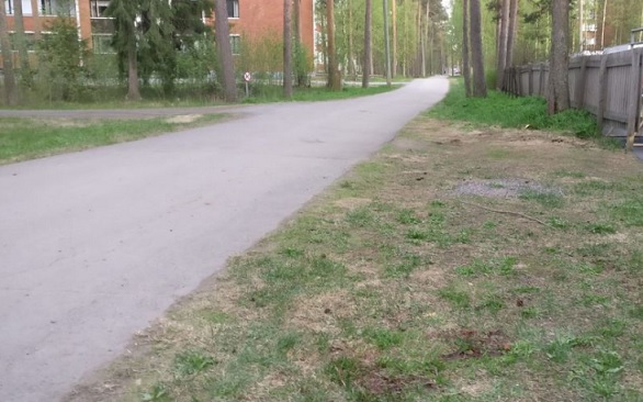 Uhri löydettiin kuolleena katualueelta Kaukovainiolta toukokuisena iltana.<br />KUVA: VIIVI MAHLAKAARTO / MEDIAPALVELU MODIA