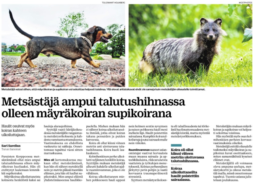 mäyräsupikoiras.jpg