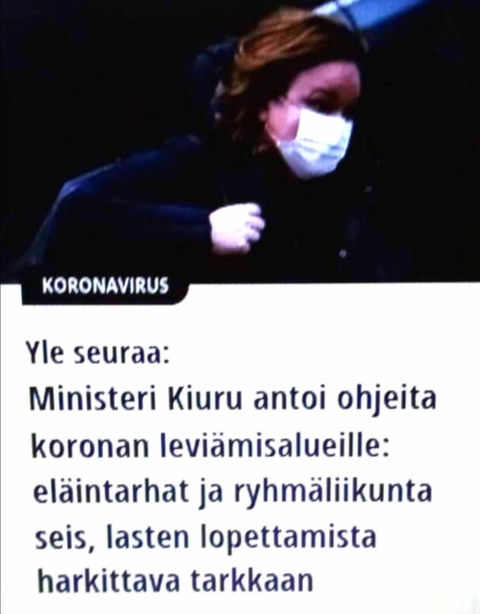 Elukat korkeasaareen ja siellä terminointi?