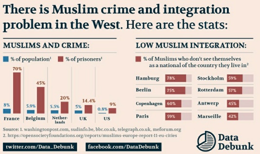 Muslimirikollisuus ja integraatio lukuina, 2018.jpg