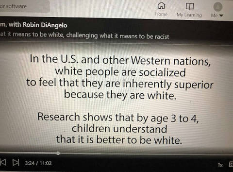 Antirasismikoulutus kertoo että valkoiset ajattelevat ihonvärinsä olevan ratkaiseva syy länsimaailman pärjäämiseen.jpg