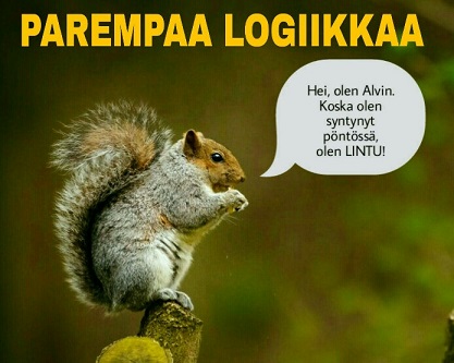 orava.jpg