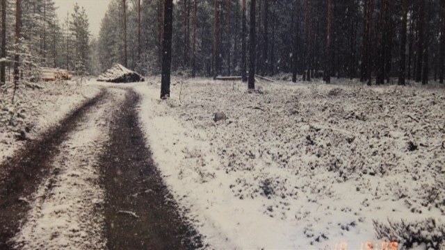 alkuperäinen
