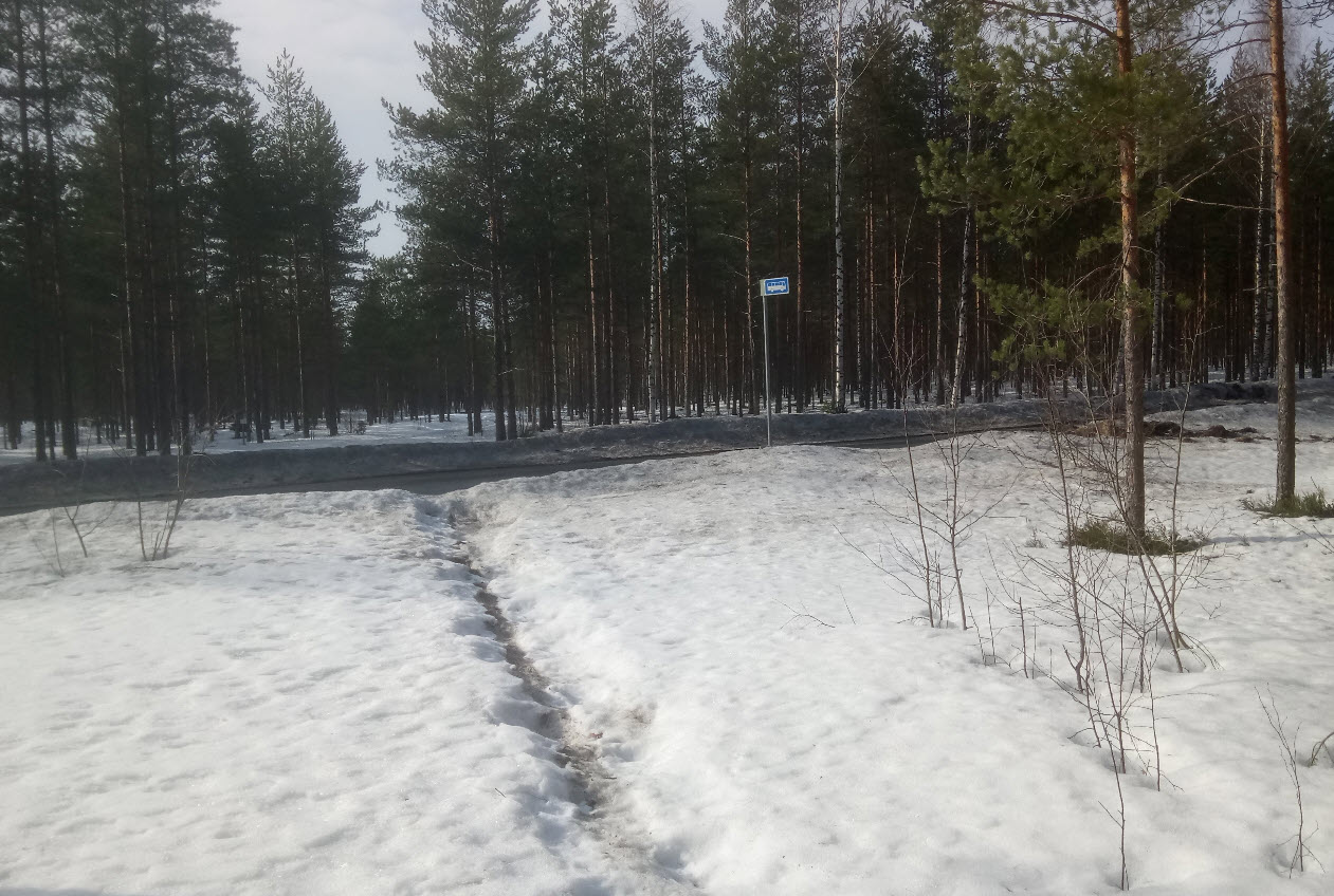 risteysalueen_reuna.jpg