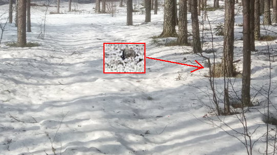 kivikö.jpg