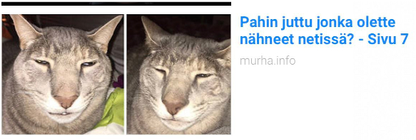 pahin.jpeg