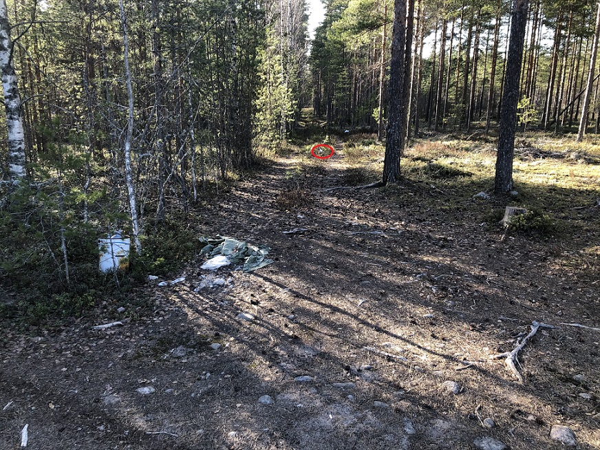lehtimies uran alusta1.jpg