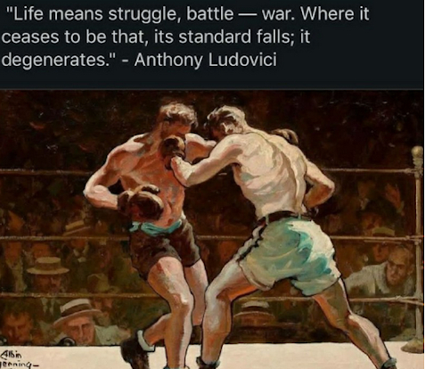 vihaa.jpeg