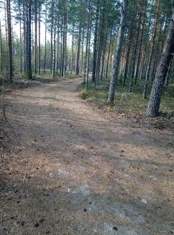 received_168089408577271.jpeg