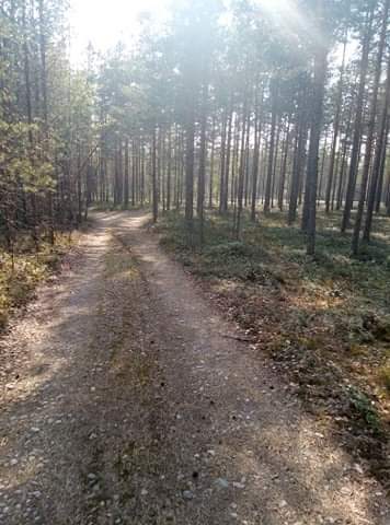 received_740081960018353.jpeg