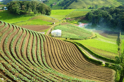Etiopialaisia viljelmiä.jpg