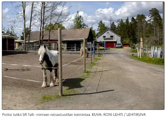 SR Tallin pihamaata ja yksi söötti polle.jpg