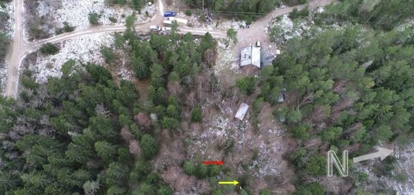 Nuolet osoittavat paikkoja joissa bensiiniämpärit ovat olleet. Palokoirat merkkasivat nämä kohdat. POLIISI