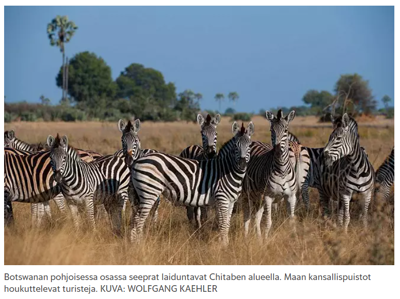 Botswana 4.png