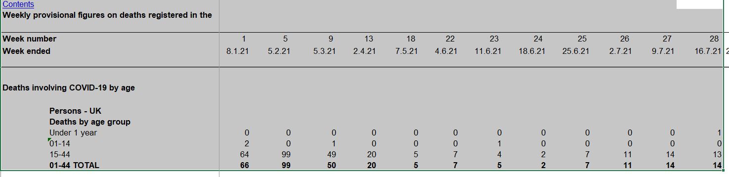 UK_covid deaths_age_2021.JPG