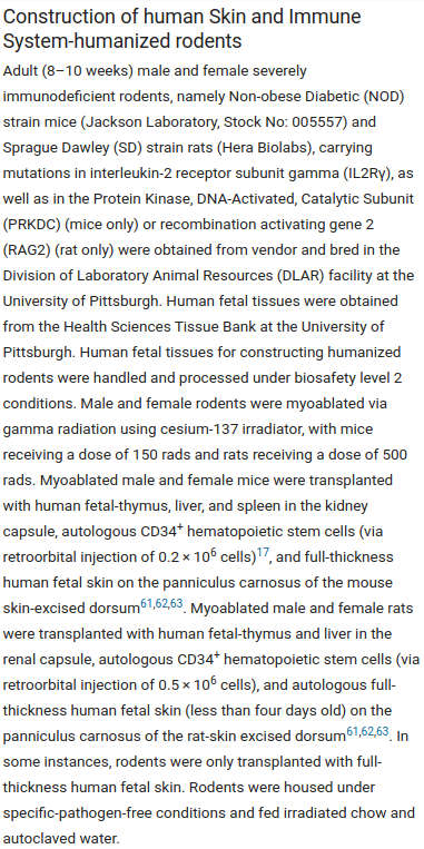 Vauvasta on otettu osia rotille liittyen immuniteetin testaukseen Pittsburghin yliopiston toimiessa VAUVOJEN VARAOSAVARASTONA.jpg