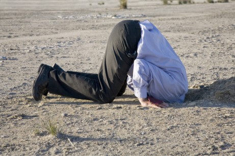 C__Data_Users_DefApps_AppData_INTERNETEXPLORER_Temp_Saved Images_head_in_the_sand-461x307.jpg