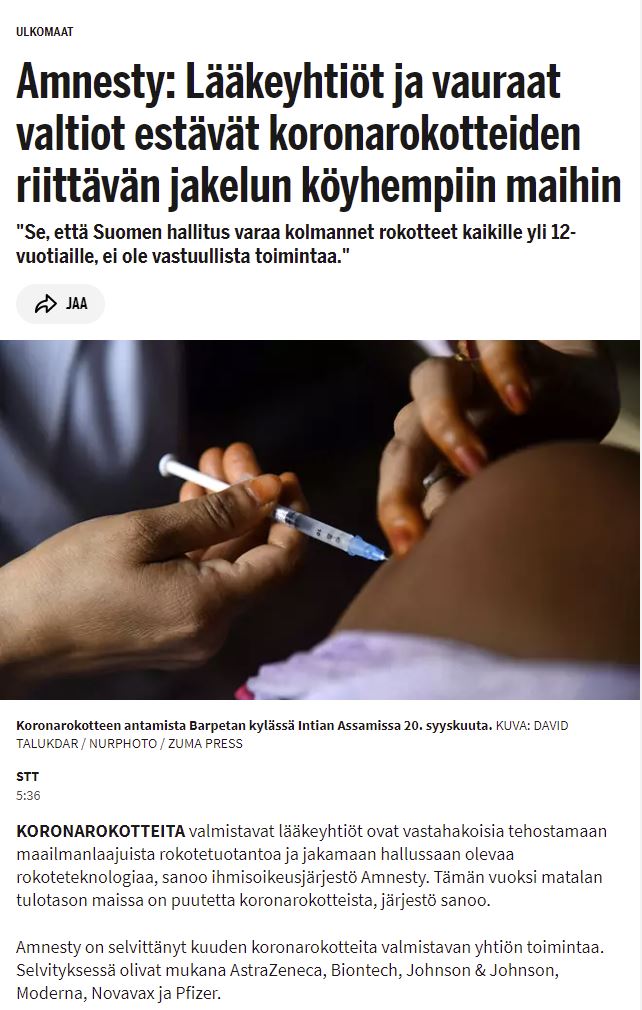 Amnestylta raippaa.JPG