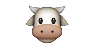 immu.png