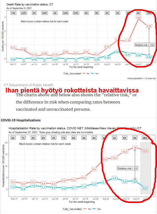 mainio kuvaaja.jpg