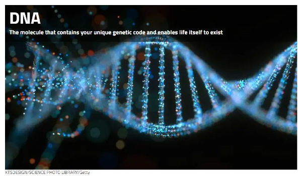 DNA on monien salaisuuksien kätköpaikka.jpg