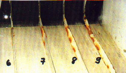 pg955.jpg