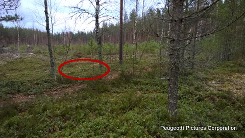 Löytöpaikkako.jpg