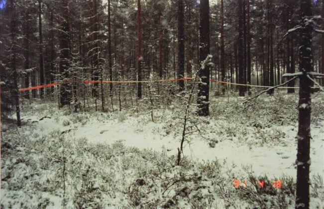 Hikiä1.JPG