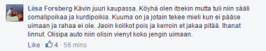 Liisa ja ihanat linnut - suvakismi pähkinänkuoressa.png