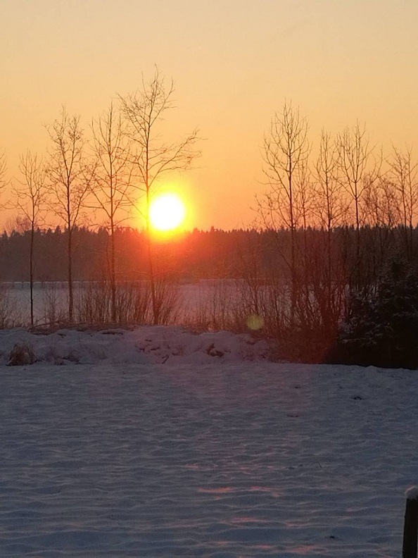 LL päivitti tään kuvan kansikuvaksi 28.11.2020.jpg