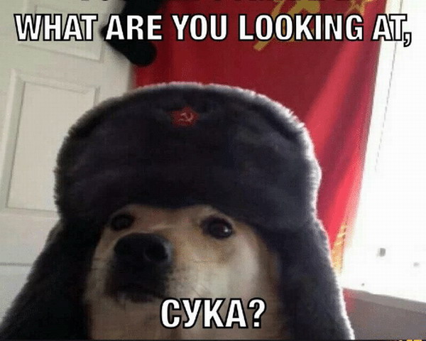Siperiassa on kylmä, pitää käyttää hattua