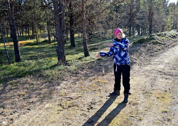 auton_loytymispaikka.jpg